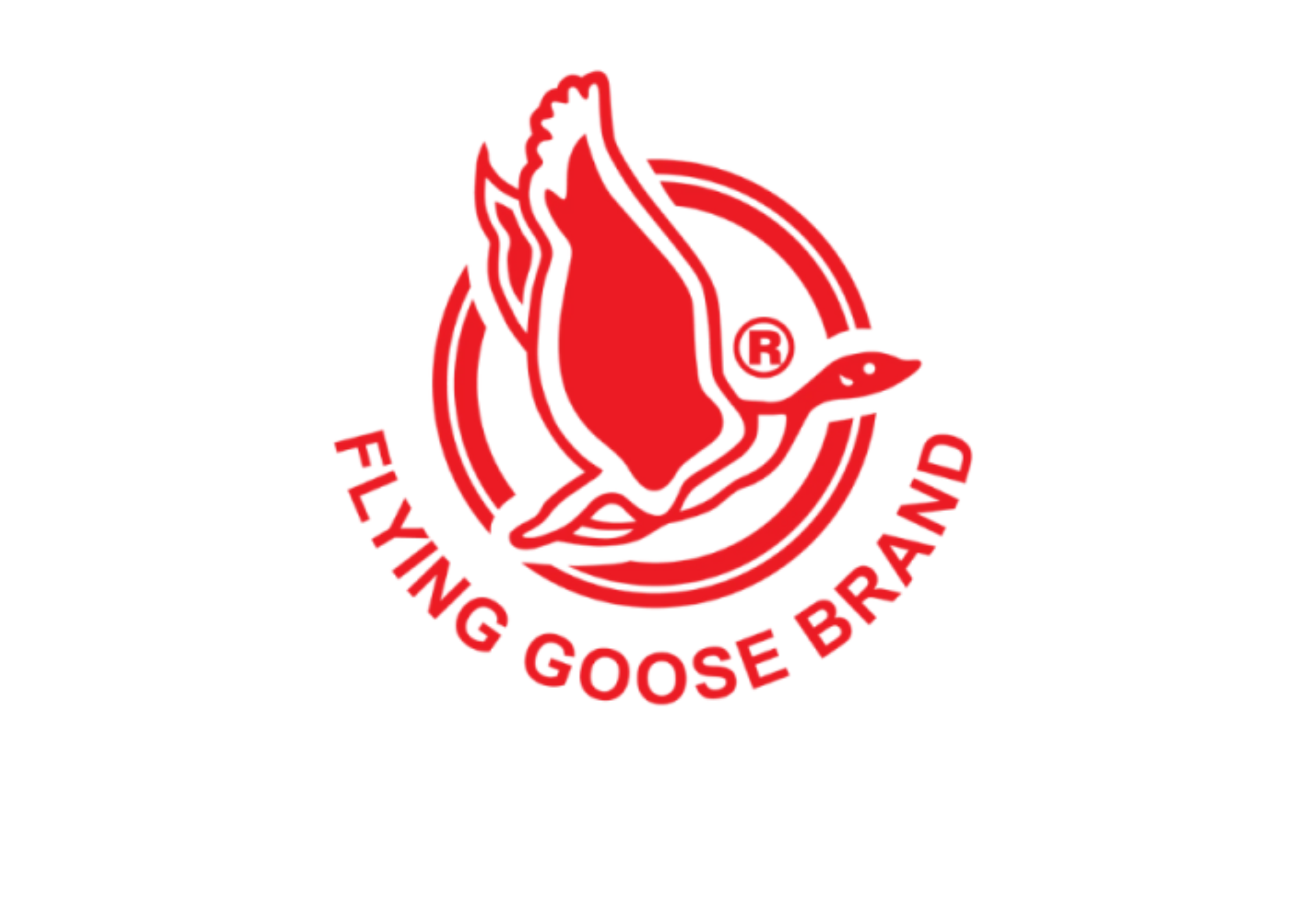Flying Goose